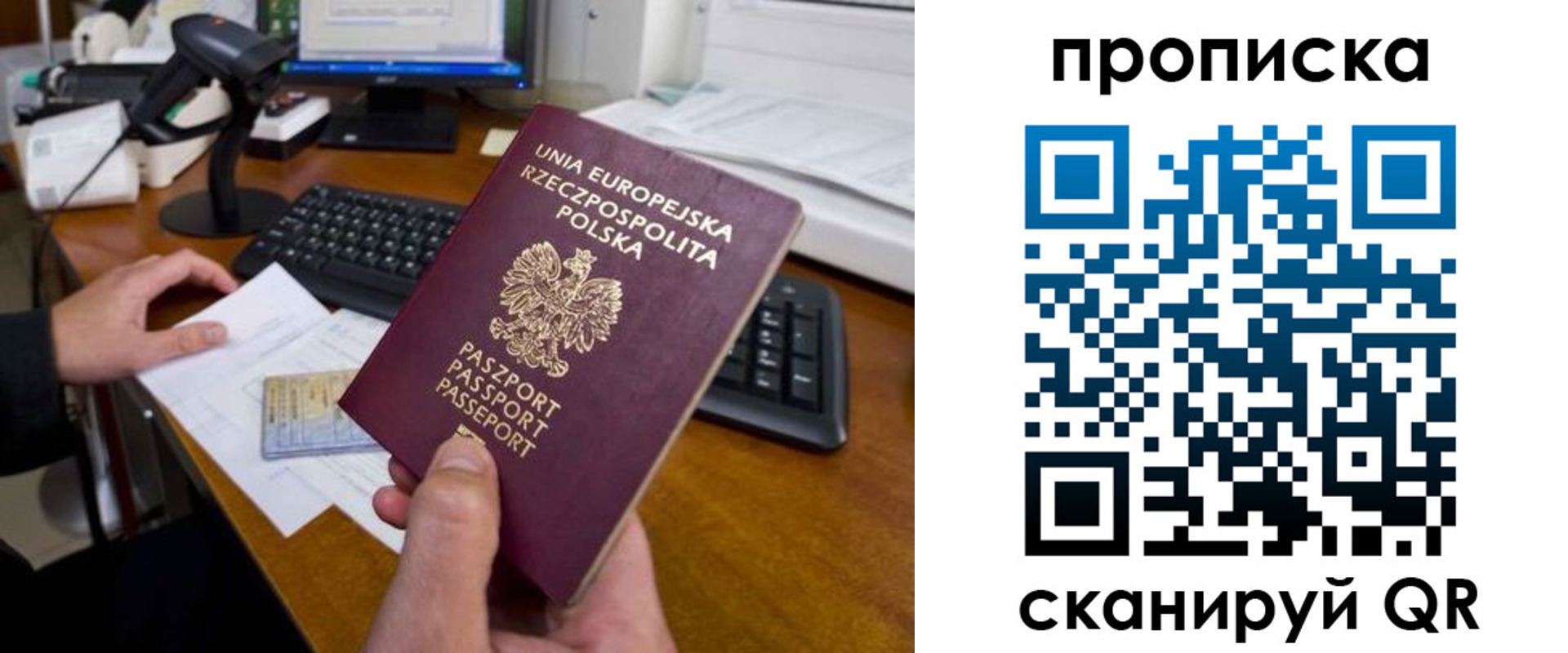 прописка для школы в Заозёрске